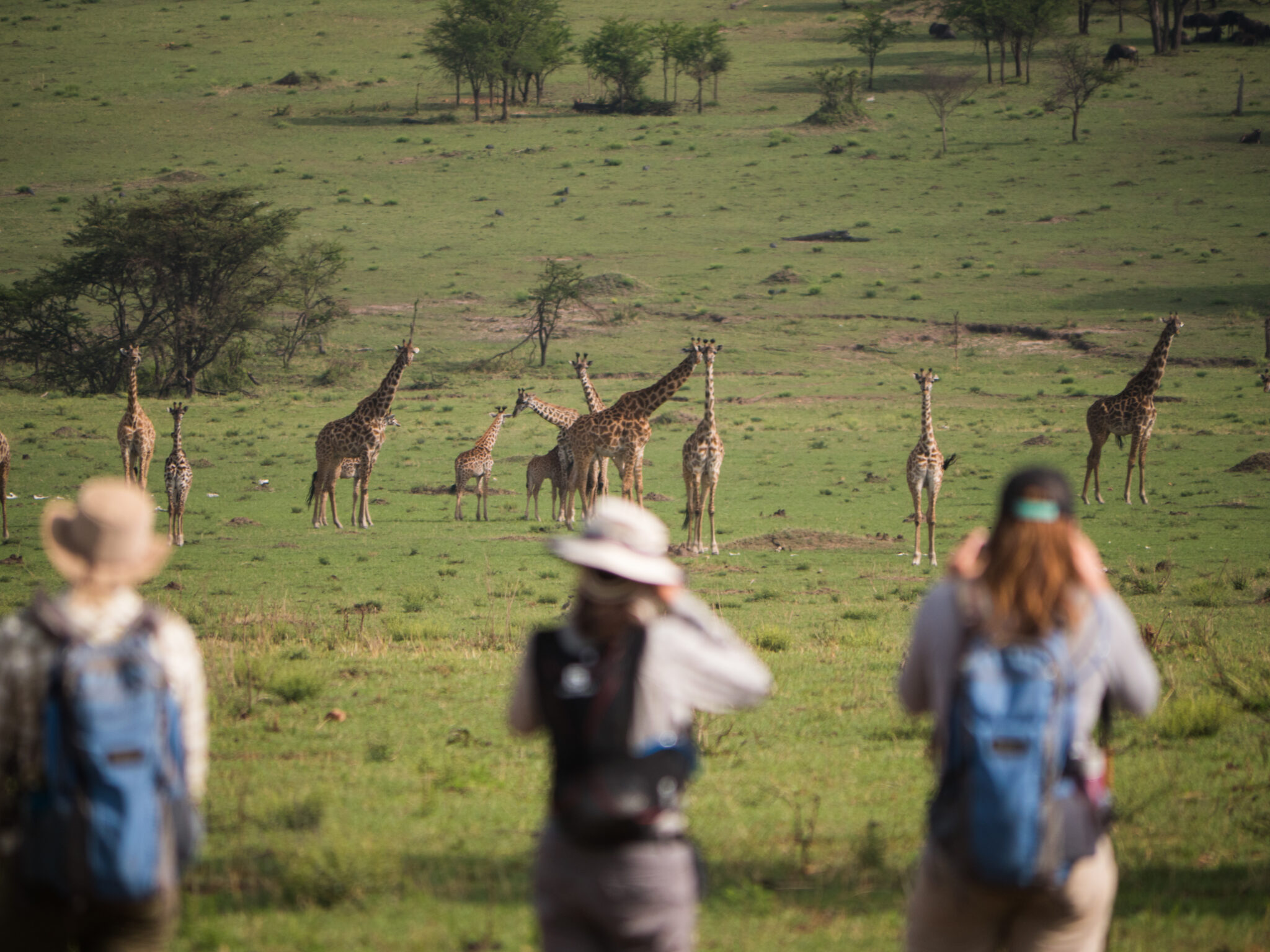 Image number 3 for 2-Day Fly-in Safari From Zanzibar.