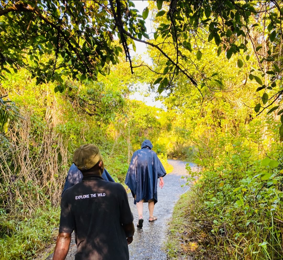 Image number 4 for Victoria Falls Guided Tour