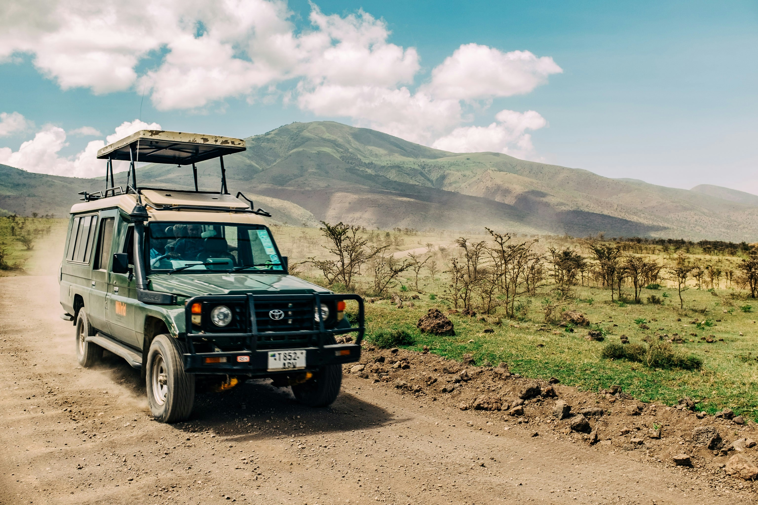 background image for - Tanzania Safari