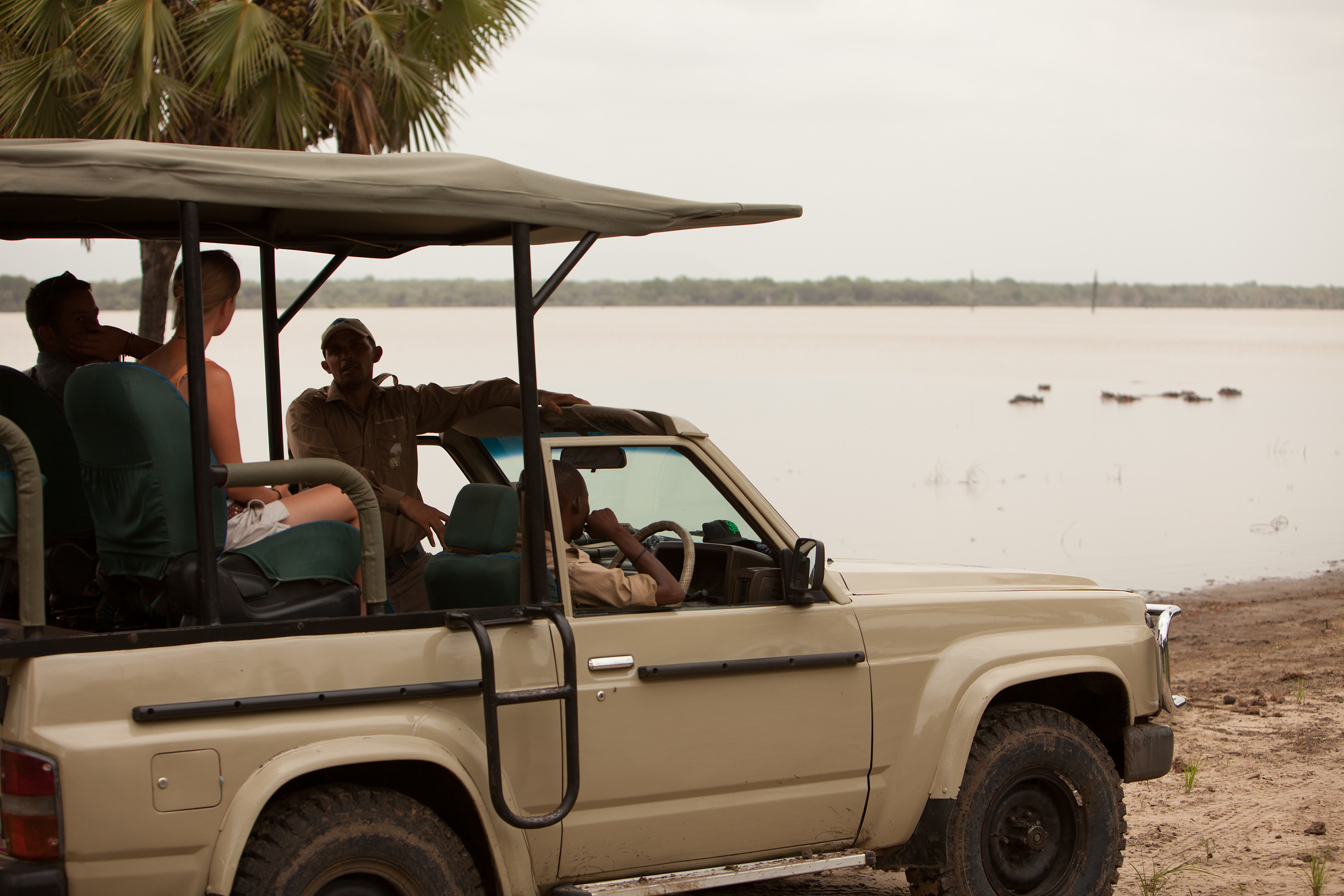 Image number 1 for Half Day Tour : Mikumi National Park From Dar-es-salaam By Sgr