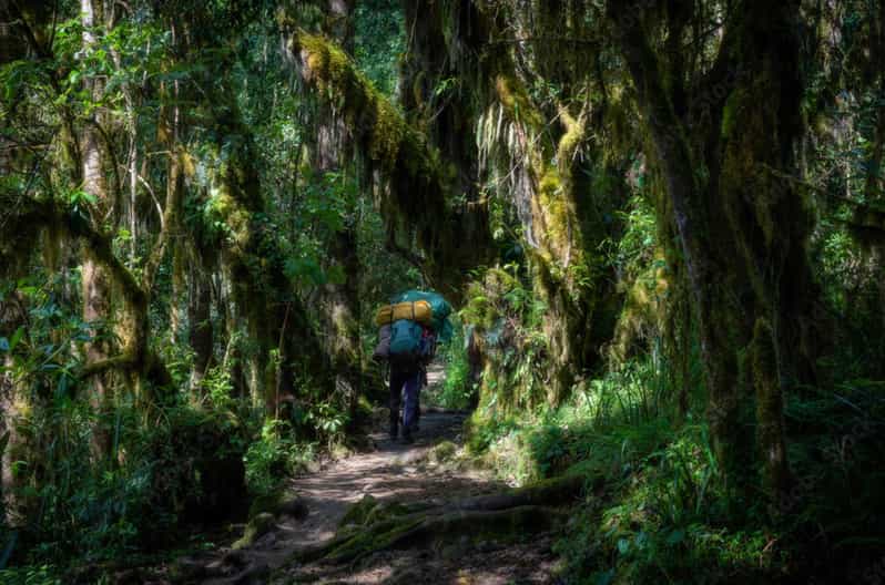 Image number 2 for Mount Kilimanjaro Day Tour