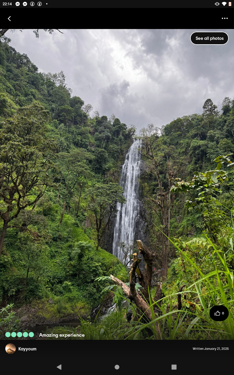 Image number 3 for Mbokomu Hiking And Coffee Tour