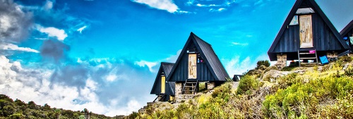 background image for - Best 2 Day Kilimanjaro - Marangu Route