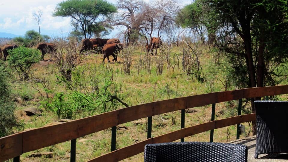 Image number 2 for 3-Day Serengeti & Ngorongoro Safari