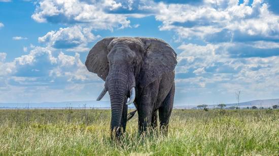 Image number 2 for 5-Day Mid Range Tanzania Safaris