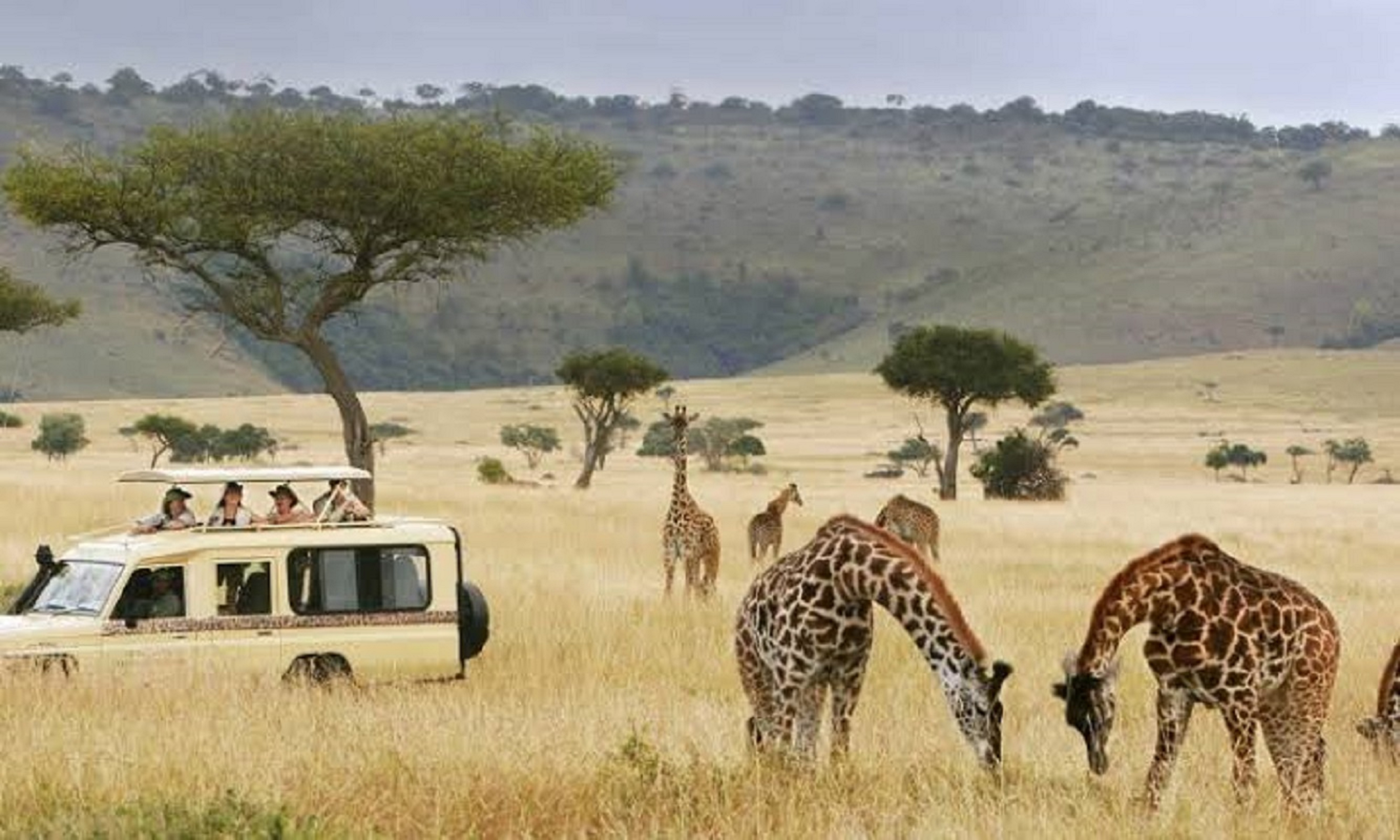 background image for - Ruaha Adventure Tour