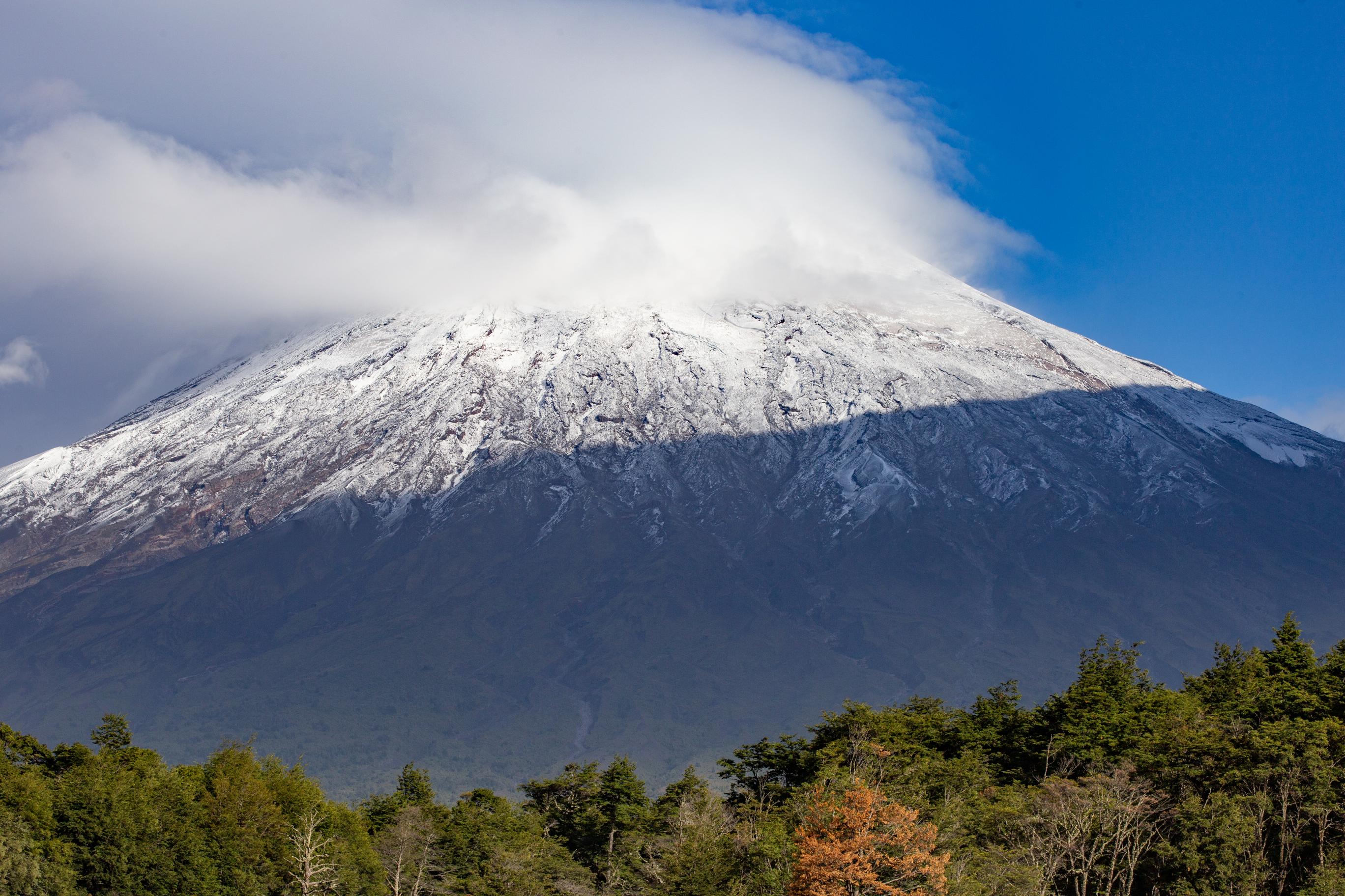 Image number 3 for 8-Day Kilimanjaro Climb: Scenic Lemosho Route