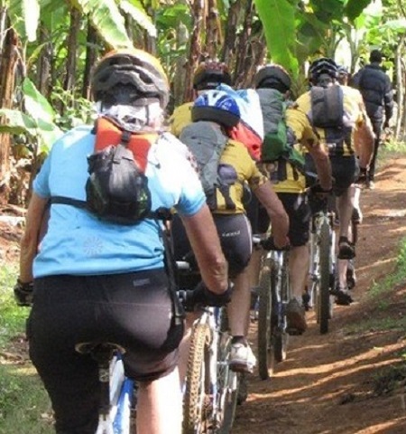 background image for - Kilimanjaro Bike Tour In Moshi Tanzania