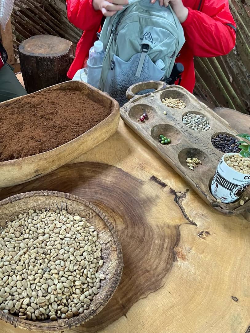 Image number 3 for Materuni Waterfall Day Trip 