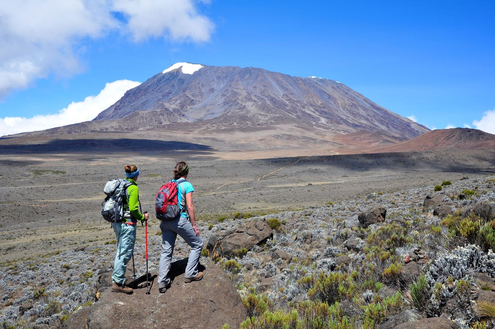 Image number 3 for 5 Days 4 Nights Marangu Route.
