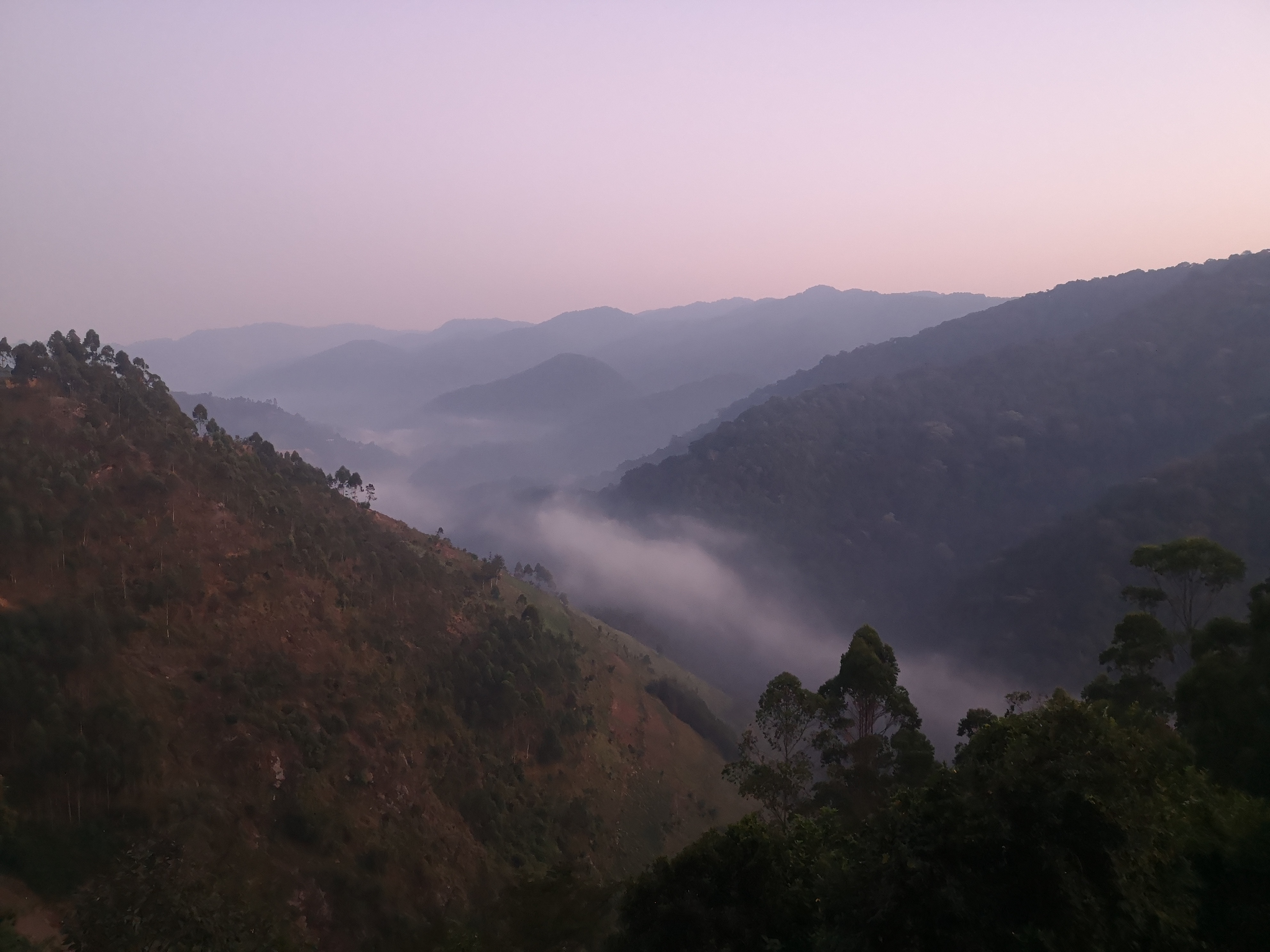 background image for - 3 Days Gorilla Safari In Uganda