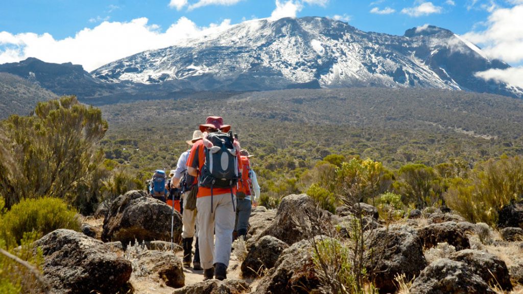 background image for - Day Trip To Hike Mountain Kilimanjaro