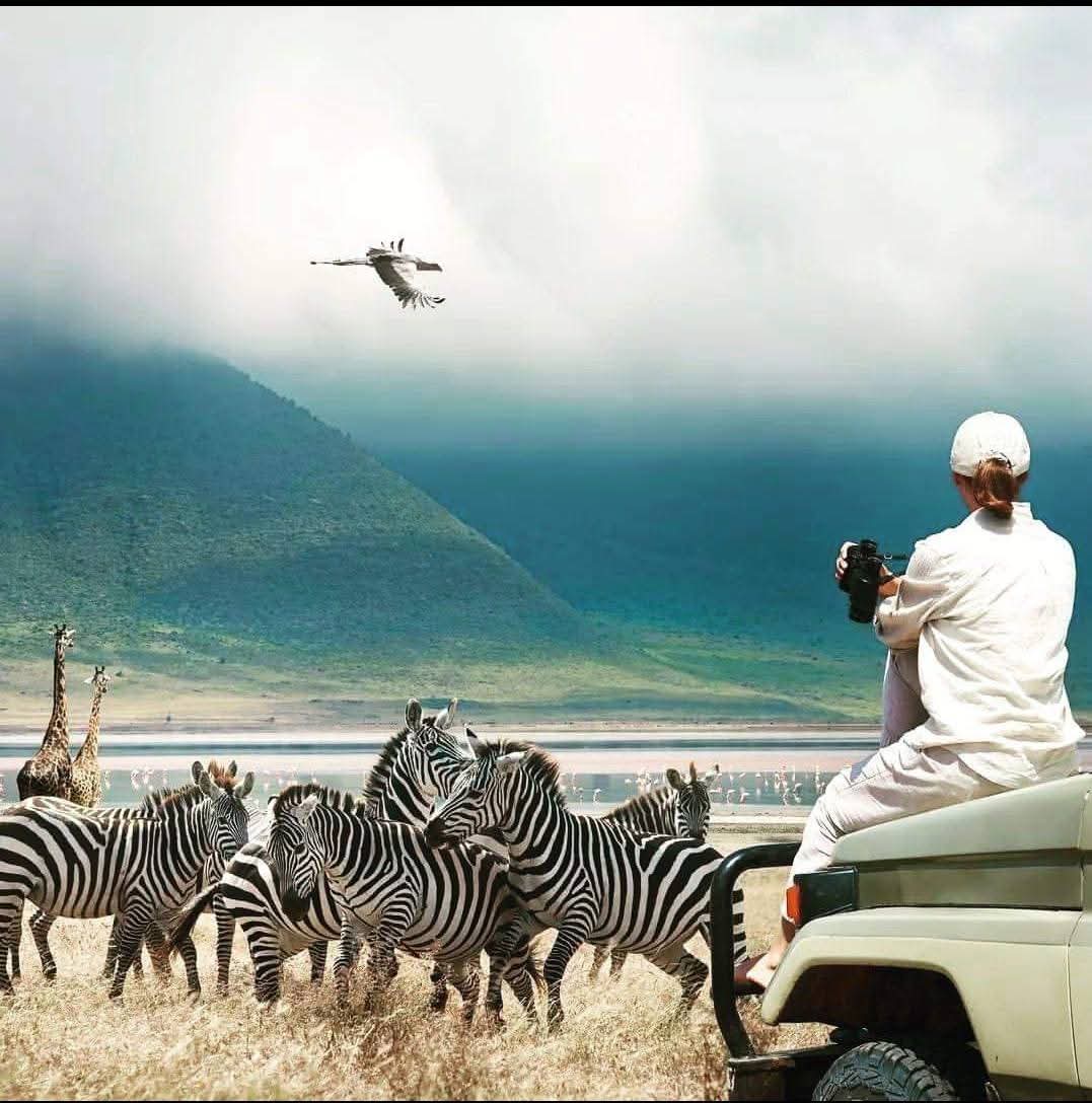 Image number 11 for Luxury Safari Experience Tarangire And Ngorongoro 