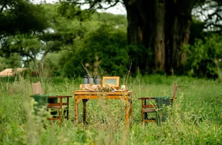 Image number 4 for Romantic Tanzania Safari