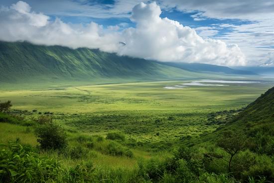background image for - Ngorongoro Crater Day Trip