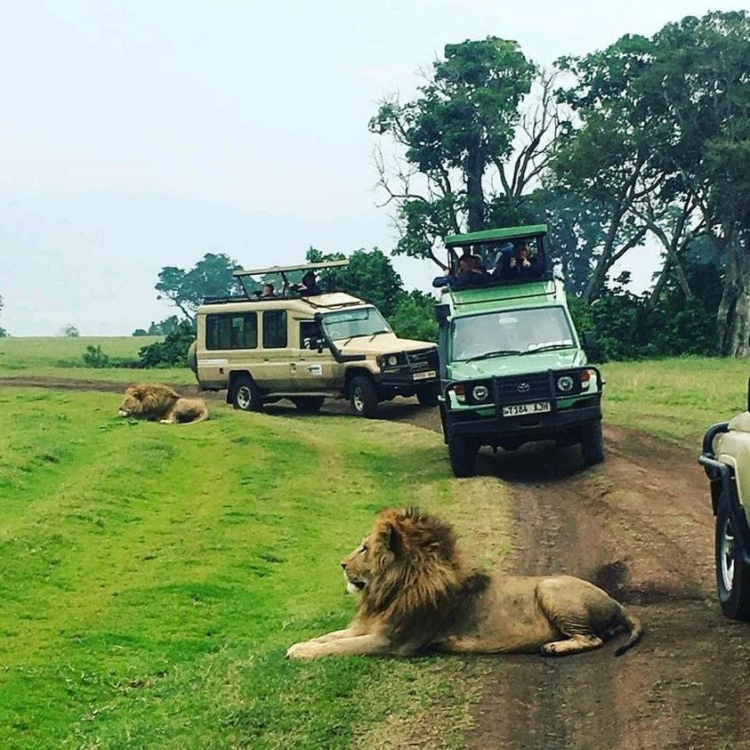 Image number 9 for 8-Day Tanzania Classic Safari: From Endless Plains