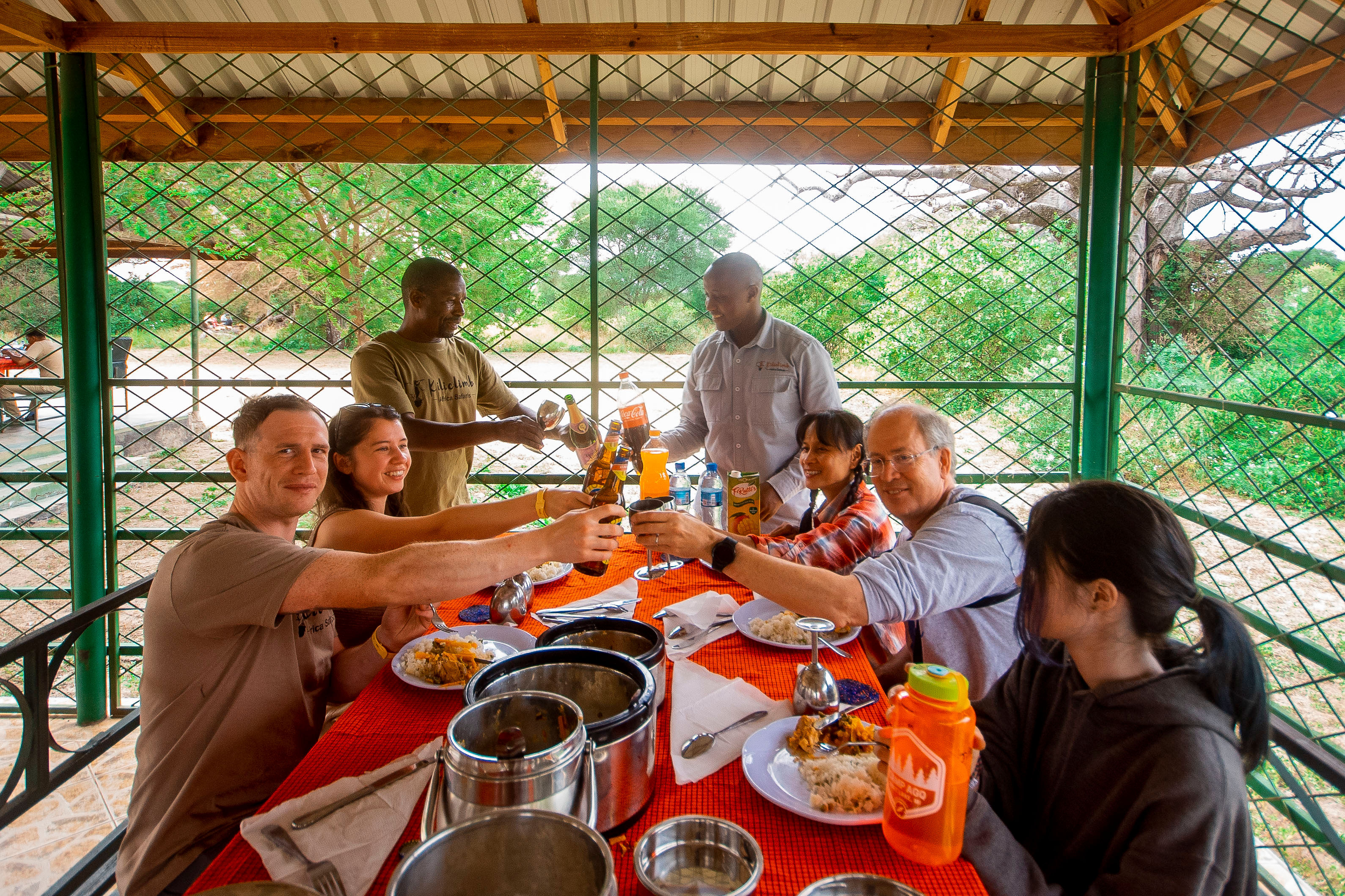 Image number 4 for Private Family Safari In Tanzania