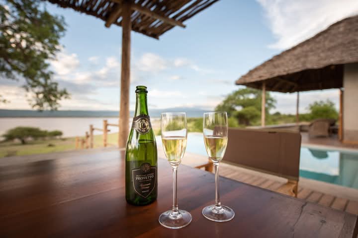 Image number 4 for Romantic Tanzania Luxury Honeymoon Safari