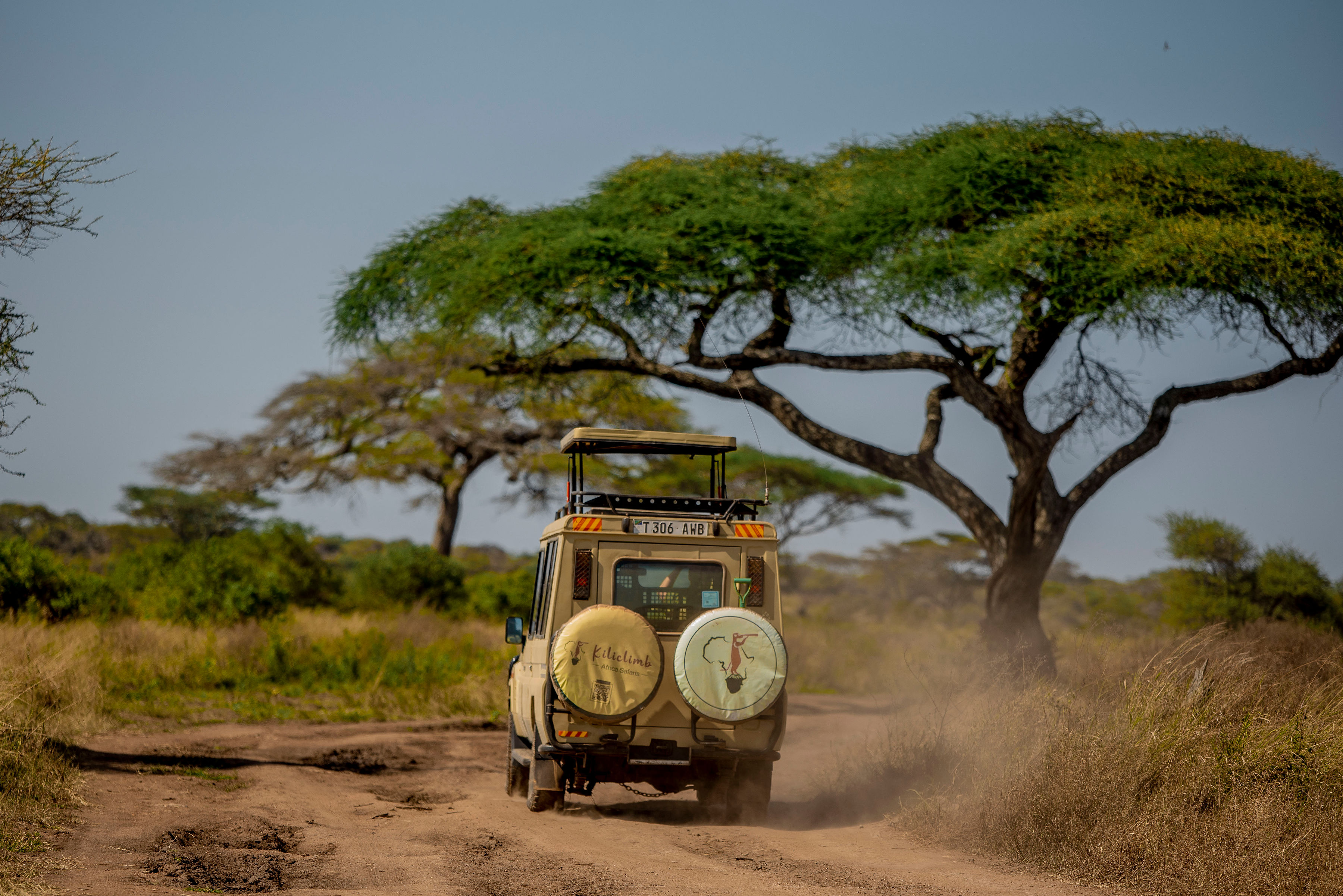 Image number 4 for Photographic Safari Tarangire |ngorongoro| Serengeti 