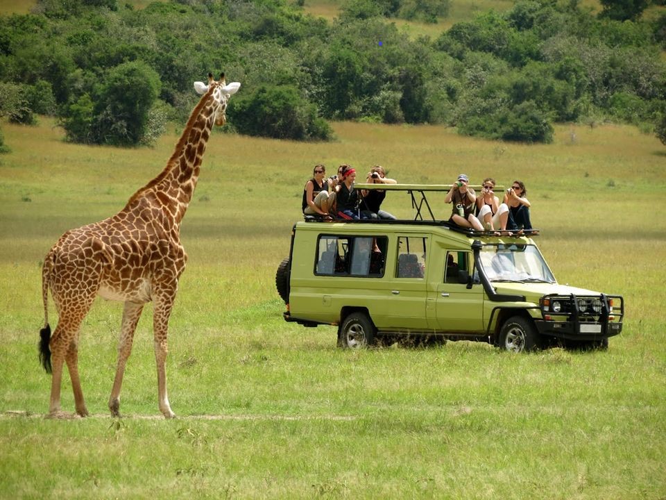 background image for - 4 Days Fly In Safari From Zanzibar