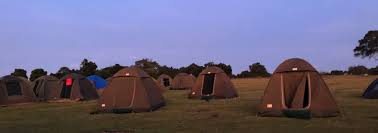 Image number 25 for Safari Serengeti & Ngorongoro Crater