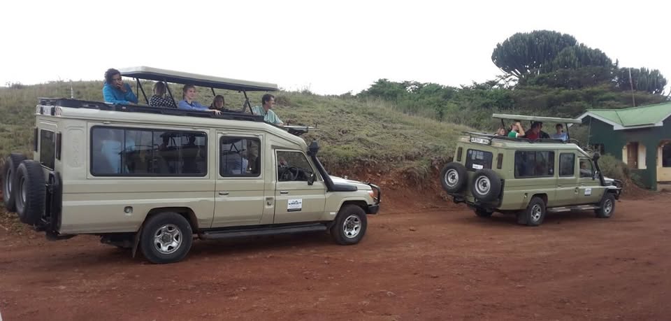 background image for - Day Mikumi National Park Safari By Train From Dar Es Salaam