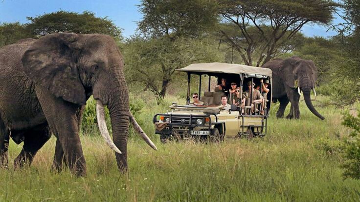 background image for - 1 Day Safari To Tarangire
