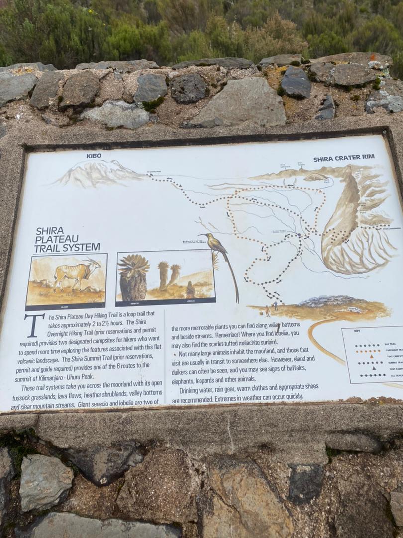 Image number 2 for Day Trip To Mount Kilimanjaro Via Londorosi Gate 