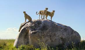 Image number 8 for  Luxury Northern Tanzania Safari