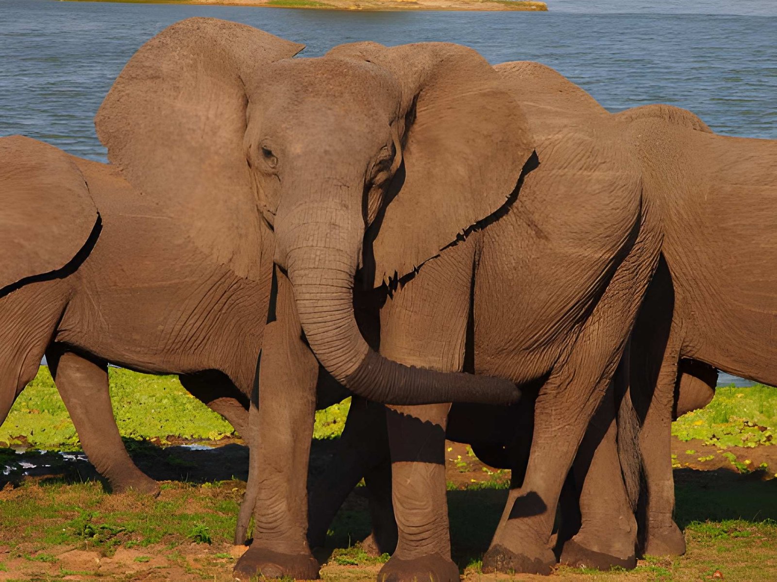 background image for - 2-Day Tarangire & Ngorongoro Crater Safari By Rrmamuya