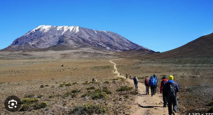 Image number 3 for Kilimanjaro Climbing Via Umbwe Route