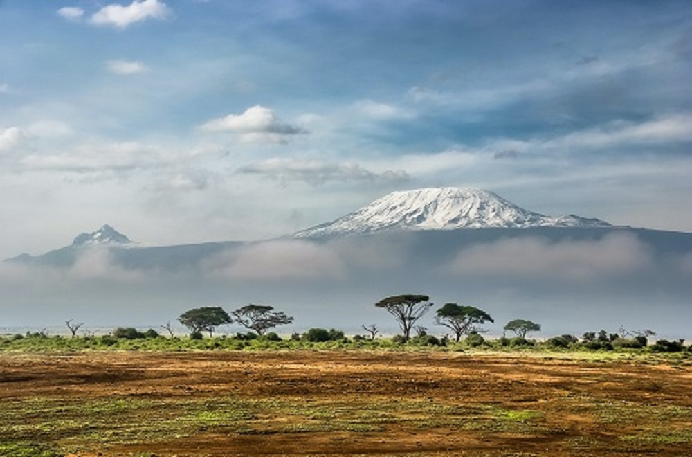 background image for - 10 Days Tanzania Safari And Kilimanjaro