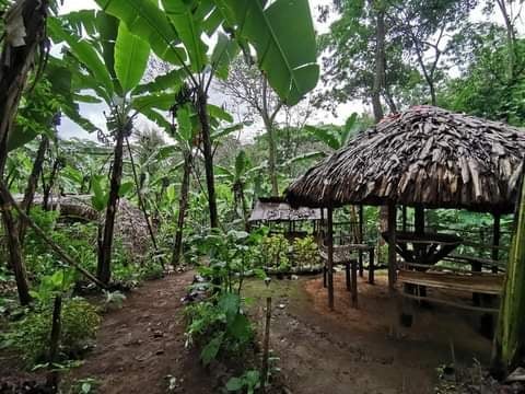 background image for - Marangu Chagga Cave - Cultural Tour