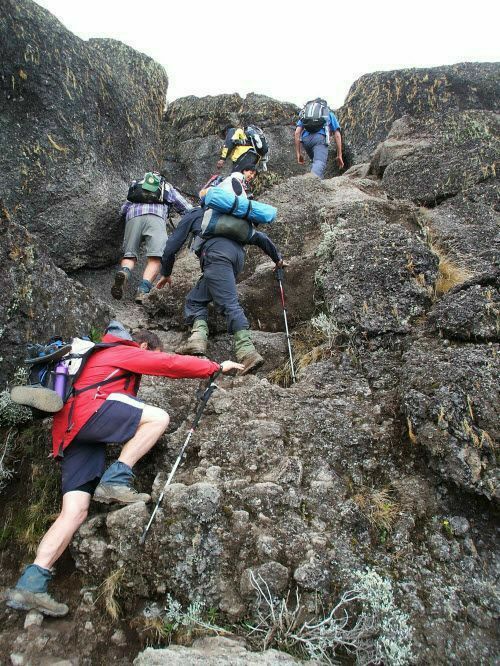 Image number 1 for 7-Day Mount Kilimanjaro Climb – Lemosho Route | Tanzania