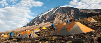 Image number 7 for 6 Days 5 Nights Mount Kilimanjaro Climbing