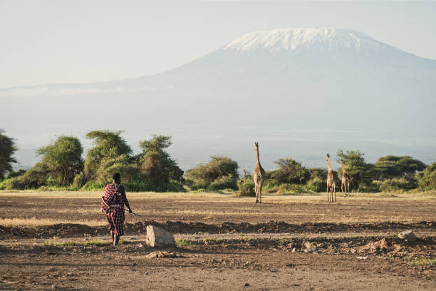 Image number 6 for The Best 4-Day Big Five Safari To Tanzania
