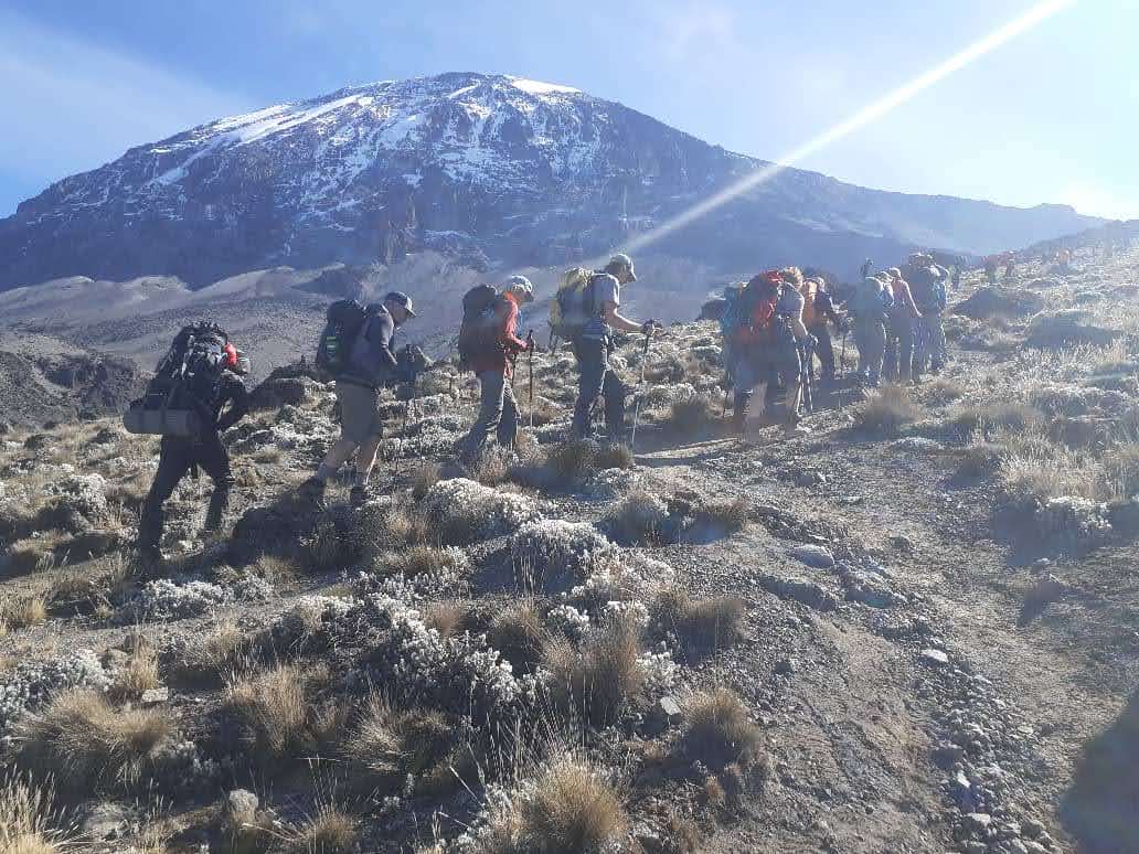 background image for - Climb Mount Kilimanjaro-machame Route