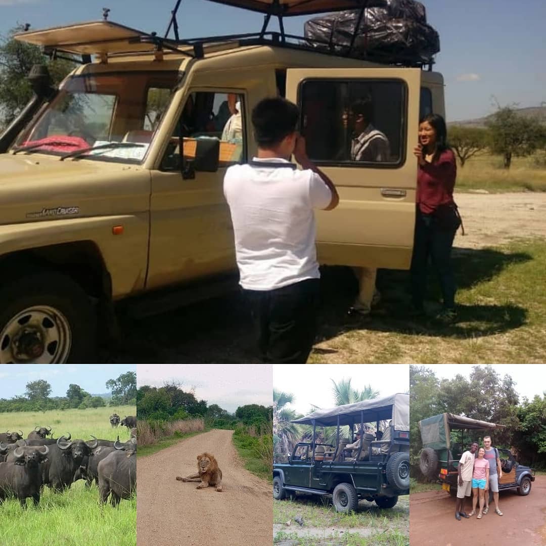 background image for - 3 Days Safari To Selous Game Reserve