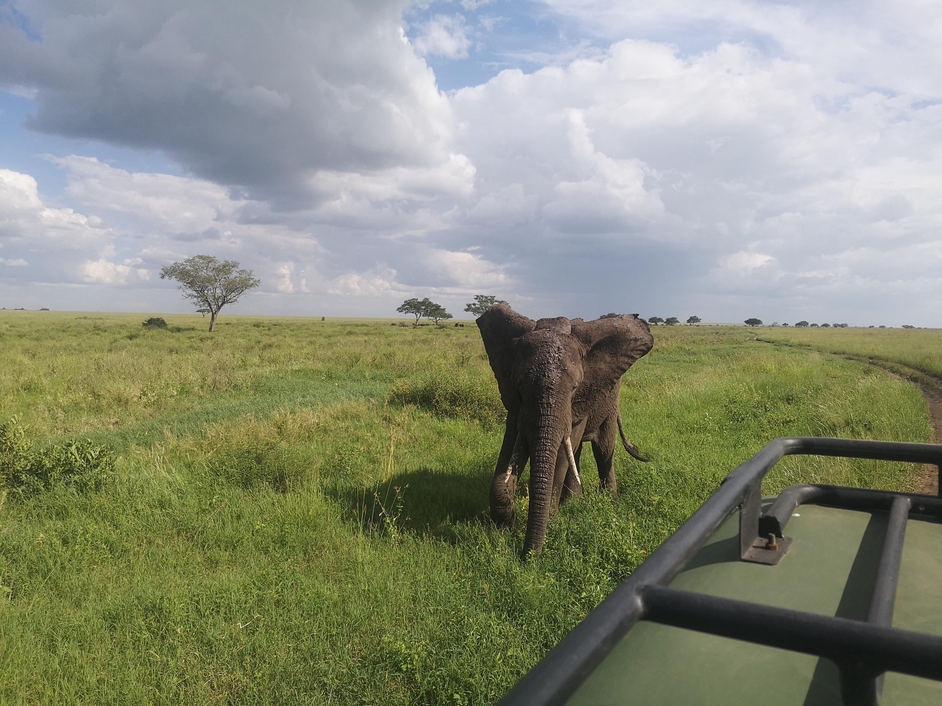 background image for - Tanzania Adventure Safari 
