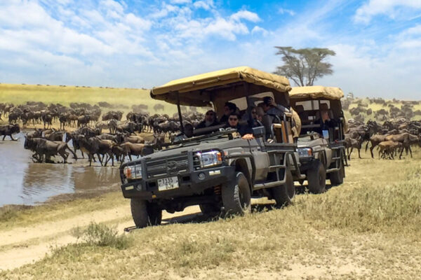 Image number 7 for The Imperial Legacy: Ultra-luxury Private Wing Safari