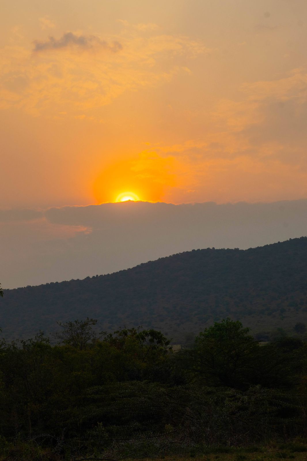 Image number 2 for Masai Mara Budget Safari Tour