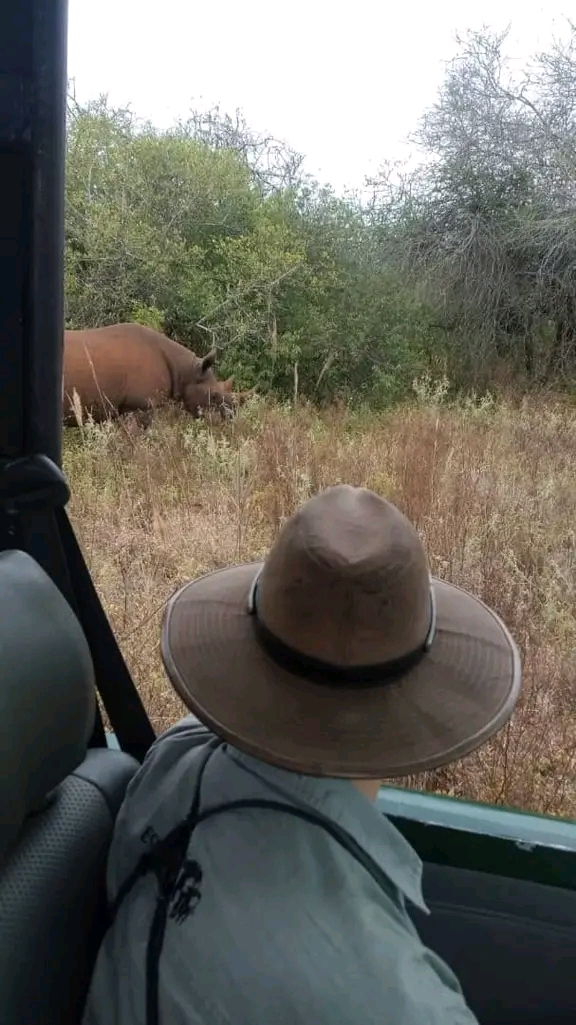 background image for - Day Trip To Mkomazi National Park 