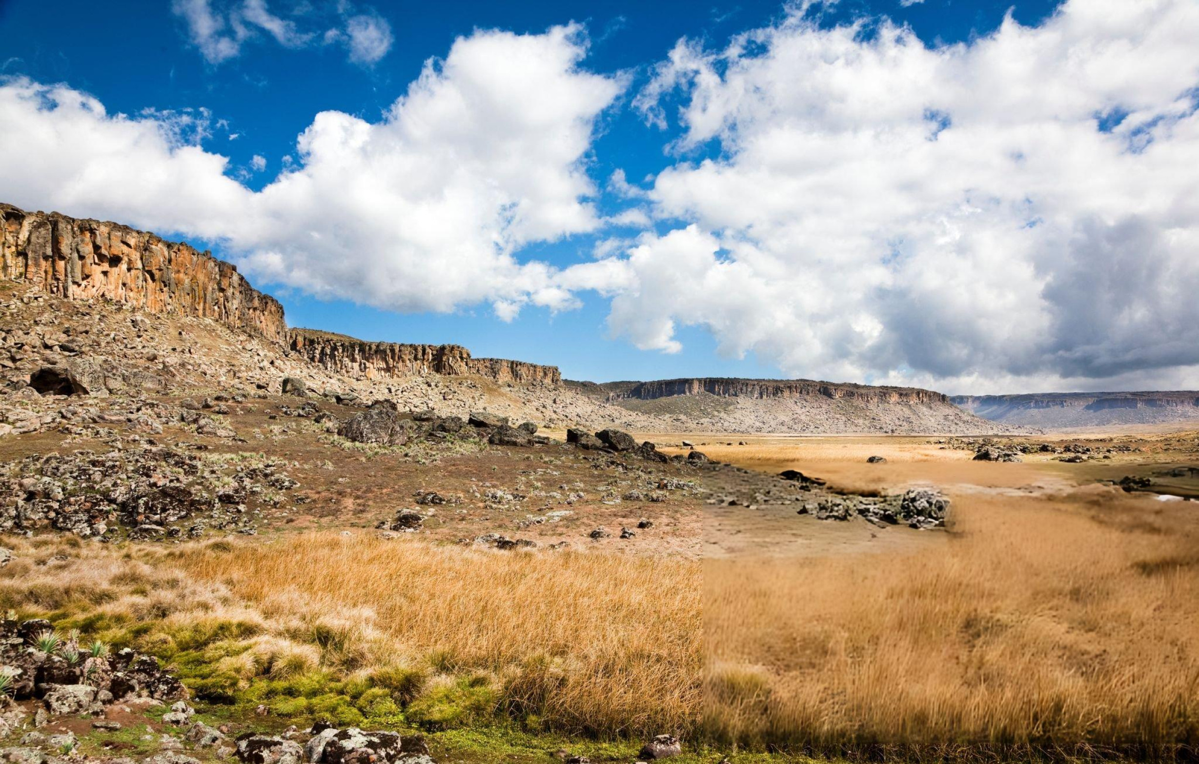 Image number 6 for 5 Day Bale Mountains Wolf Expedition & Trekking
