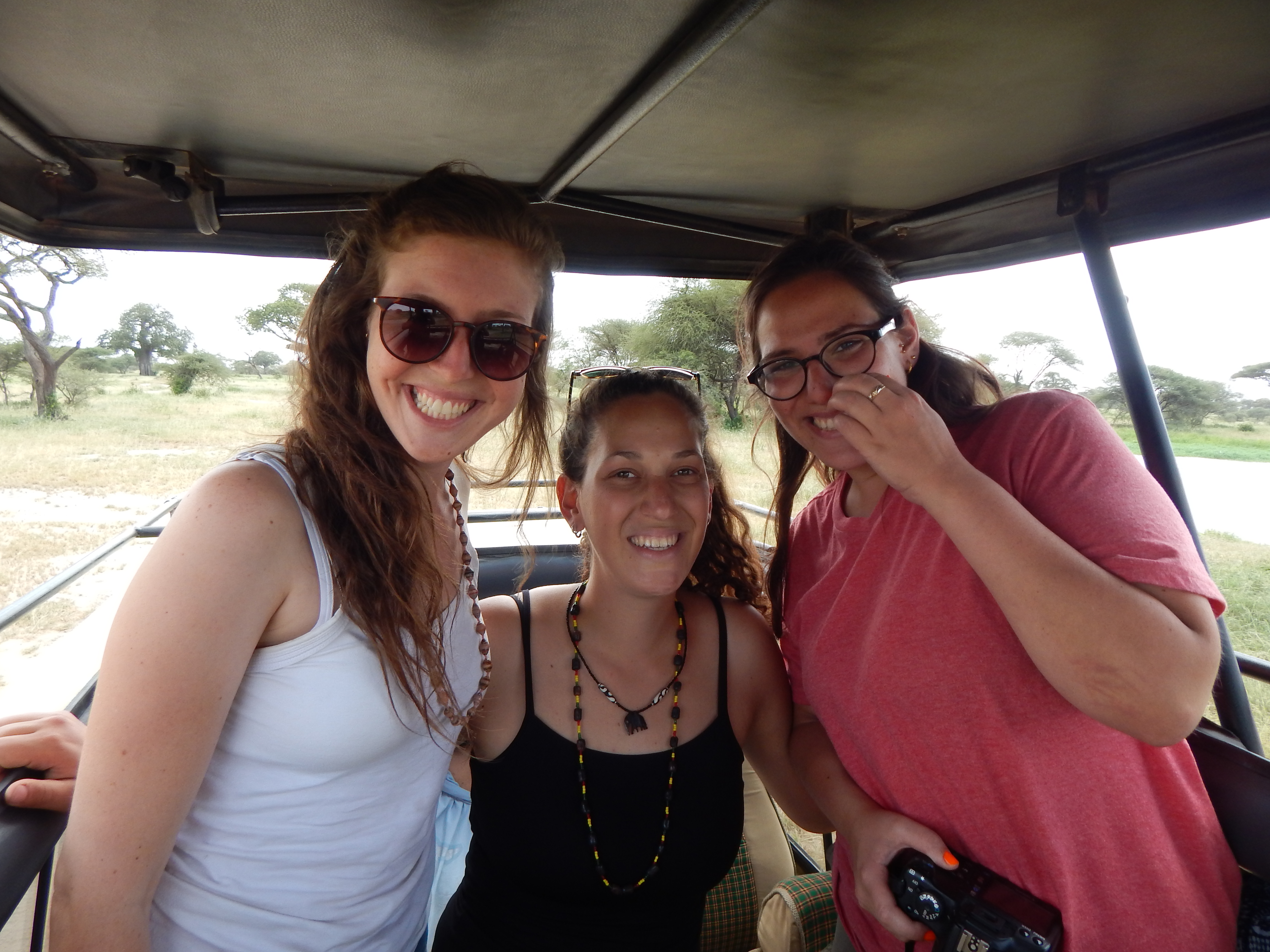 background image for - Tanzania Safaris