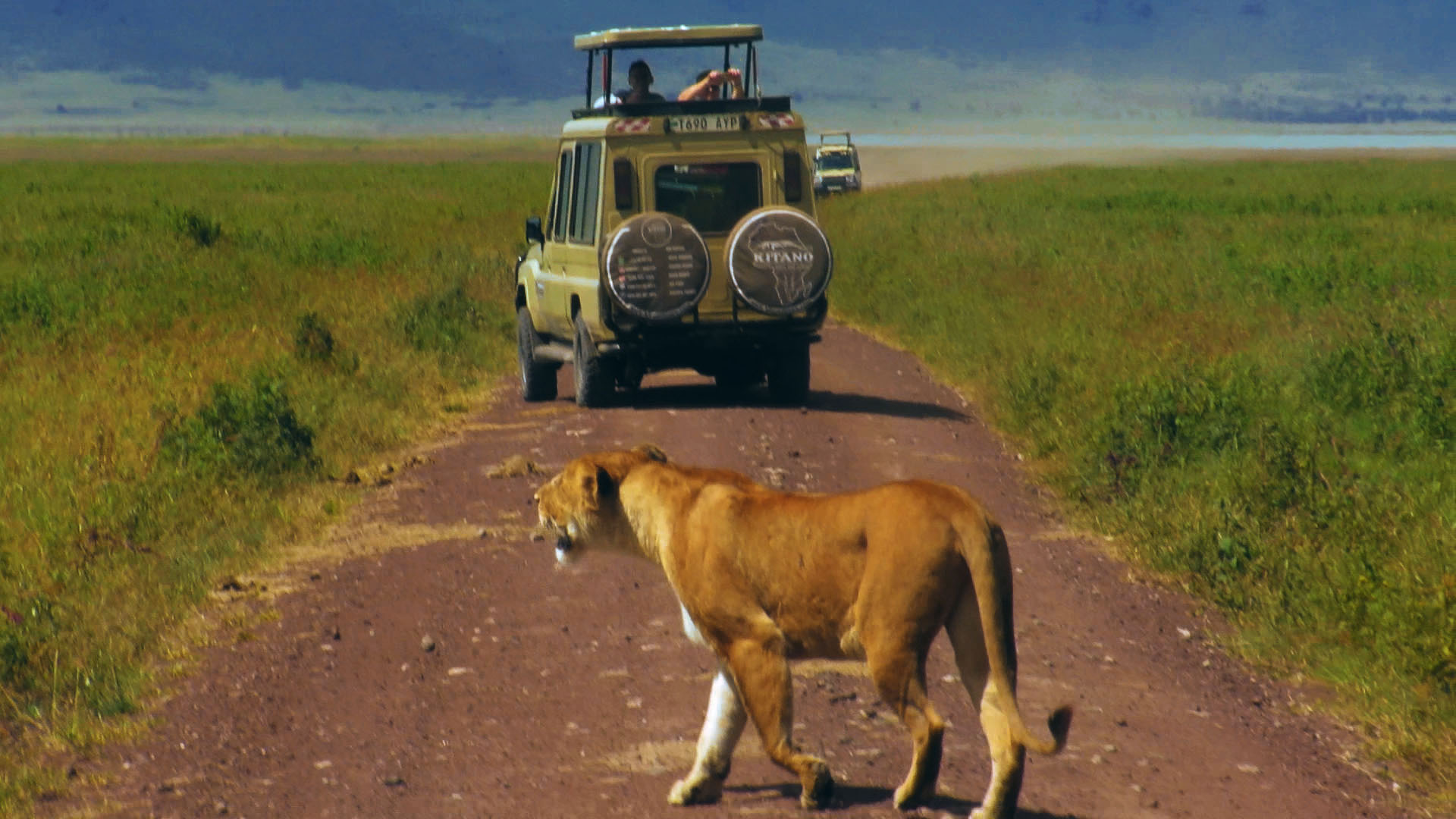 background image for - 4 Days Tanzania Private Safari And Art 