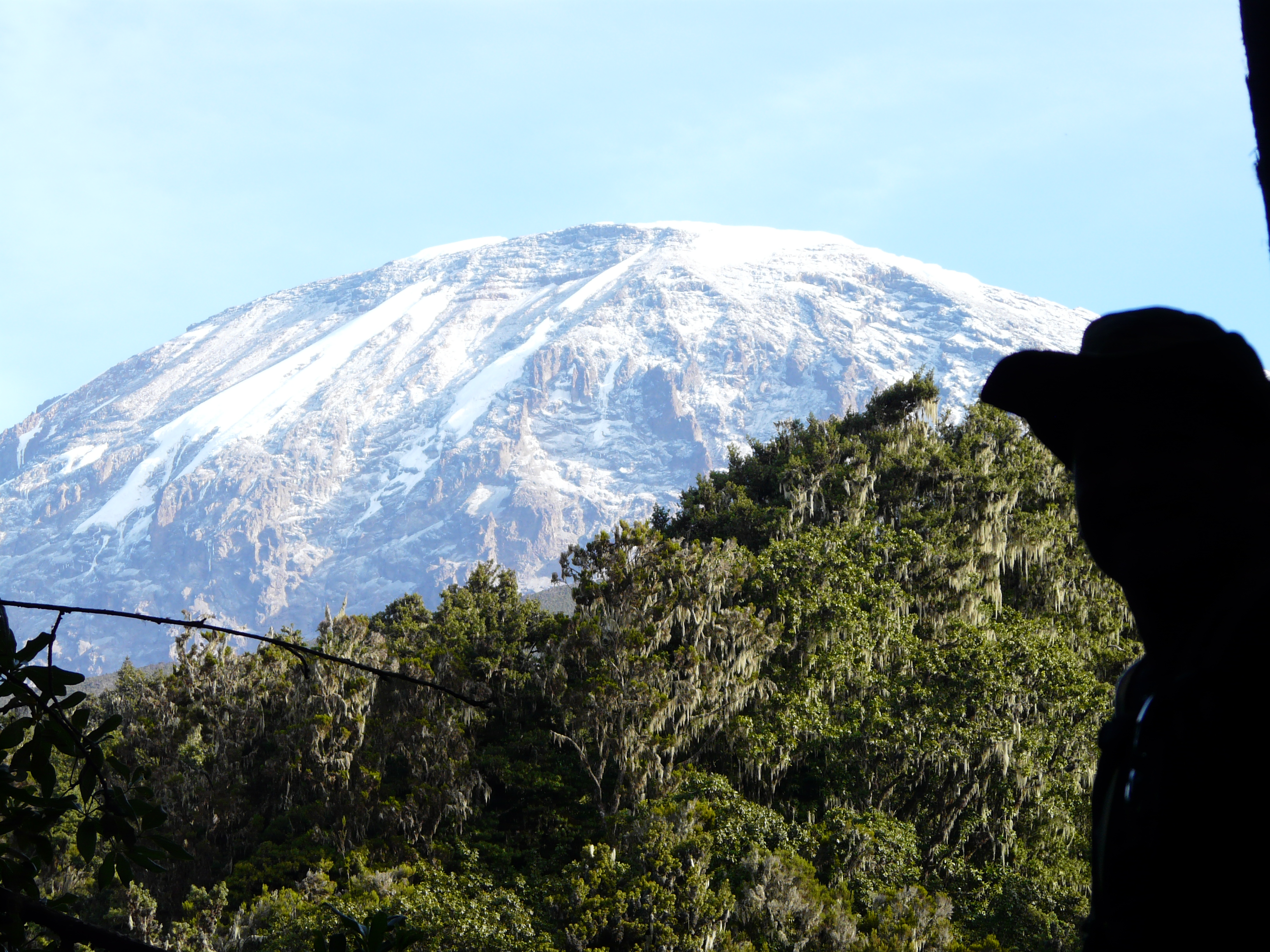 Image number 3 for Kilimanjaro Climbing Tour 8 Days Lemosho Route