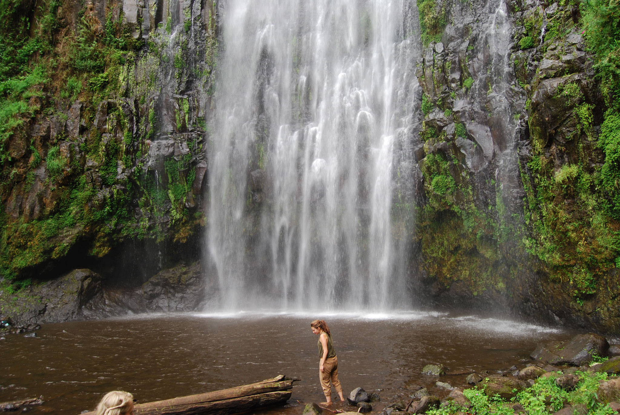 background image for - Day Trip Materuni Waterfalls&coffee Tour