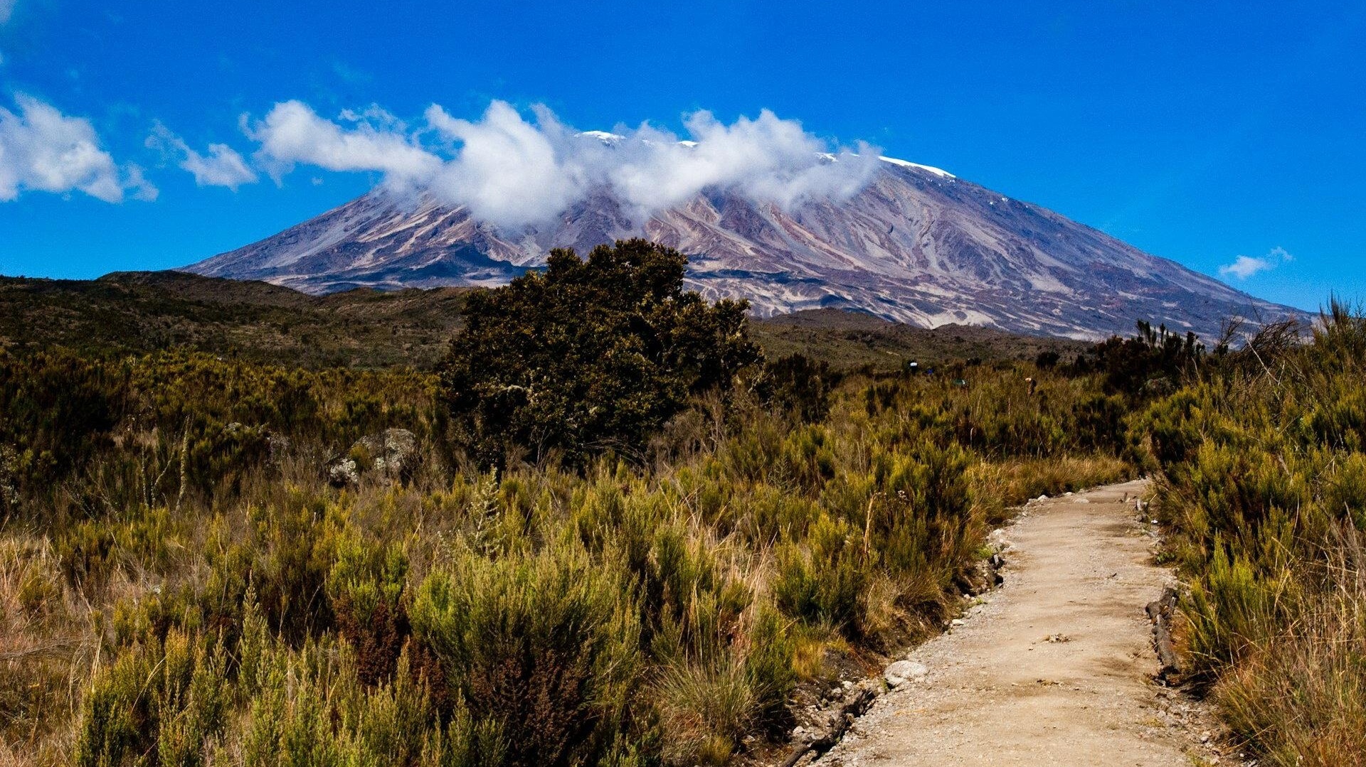 Image number 1 for 7-Day Mount Kilimanjaro Climb Via Lemosho Route 