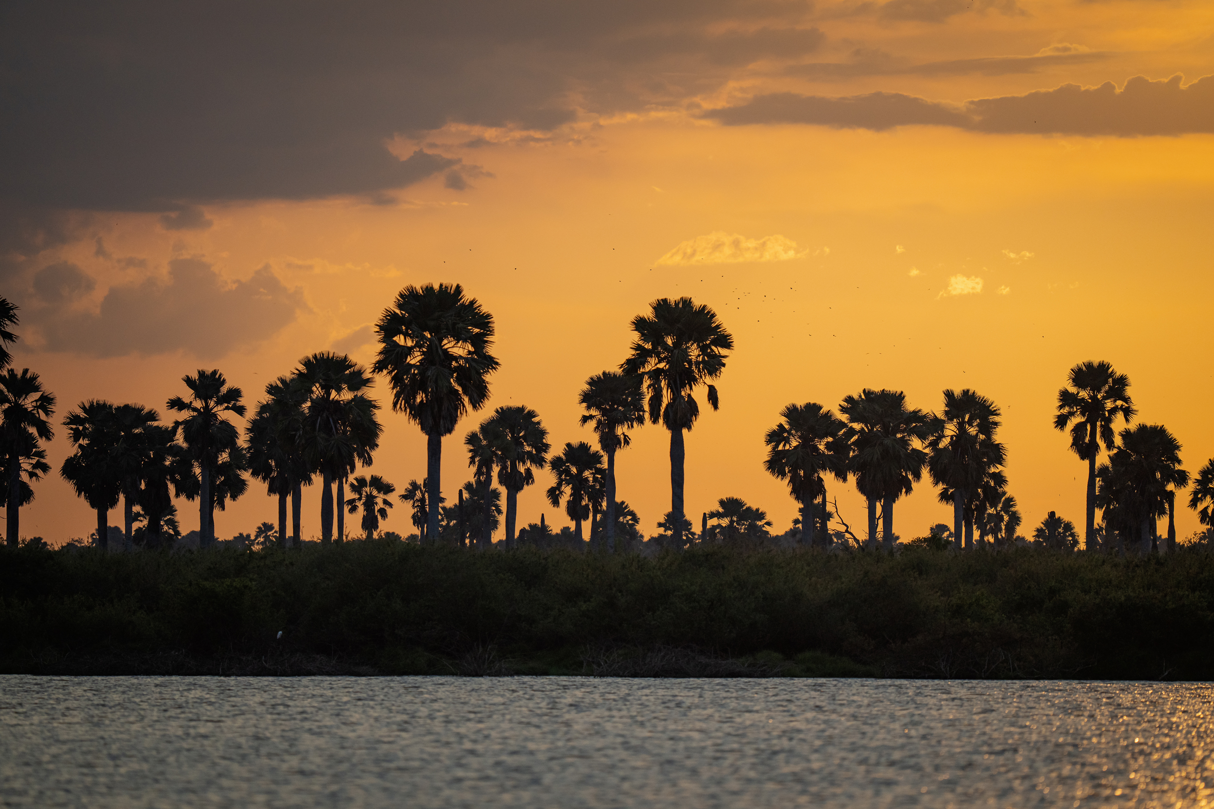 Image number 9 for Half Day : Nyerere National Park (ex Selous Gr)