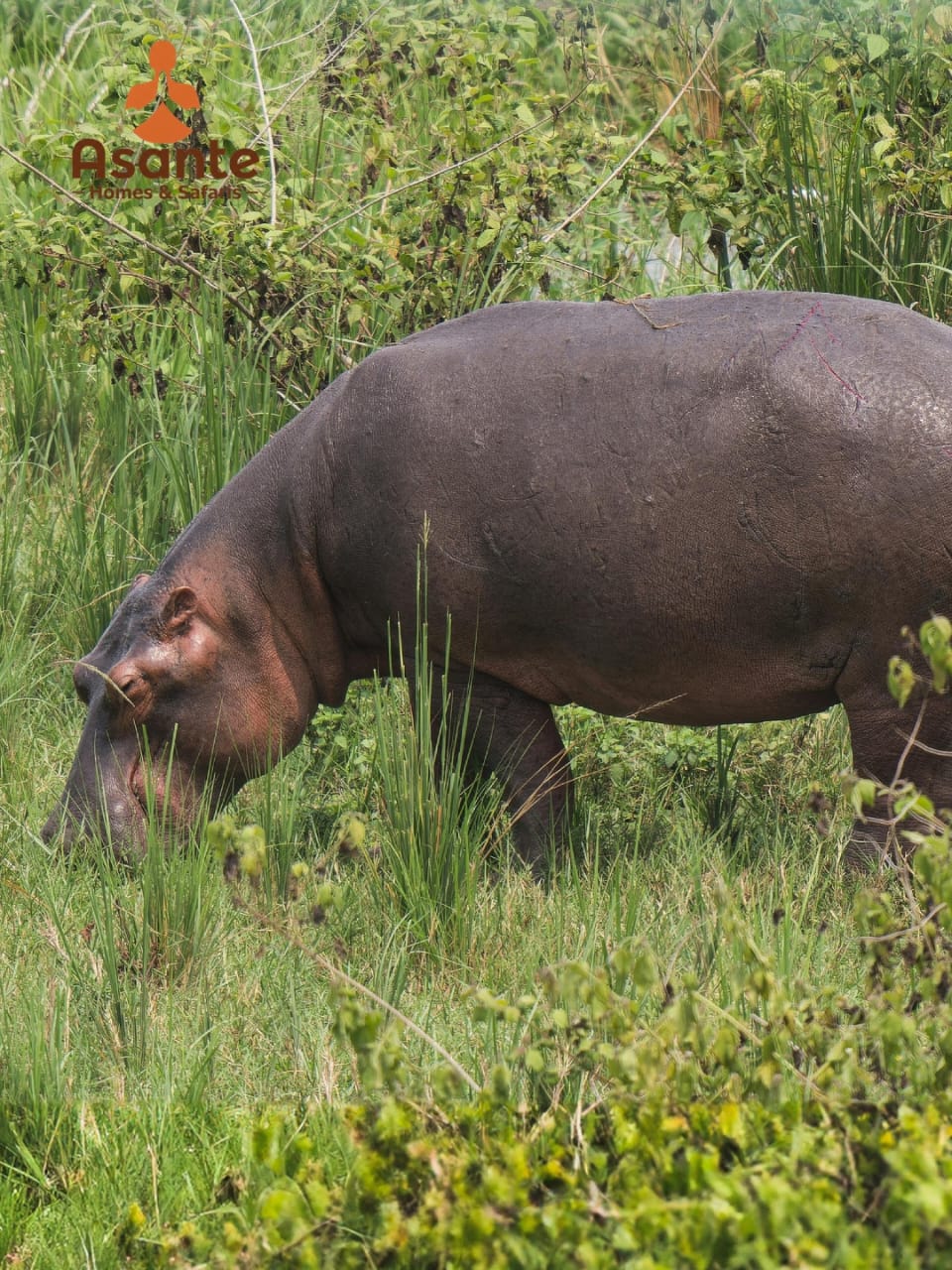 Image number 2 for 2 Days Tarangire & Ngorongoro Crater Safari Adventure